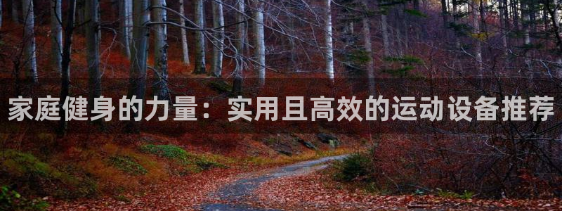 征途国际娱乐首页官网下载:家庭健身的力量:实用且高效的运动设