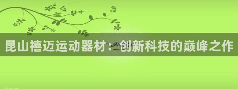 征途国际招商:昆山禧迈运动器材:创新科技的巅峰之作