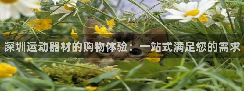 征途国际平台注册流程图:深圳运动器材的购物体验:一站式满足您